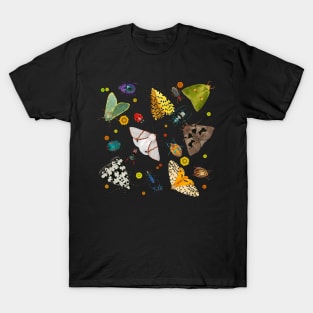 Beetles and butterflies T-Shirt